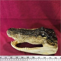 Vintage Taxidermied Alligator Head