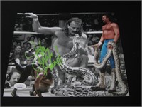 WWF JAKE ROBERTS SIGNED 8X10 PHOTO JSA COA