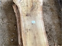 Liveedge Poplar