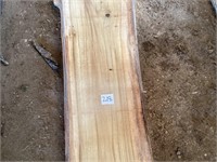 Liveedge Poplar