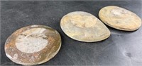 3 Round ammonite fossils, about 3.25" diameter