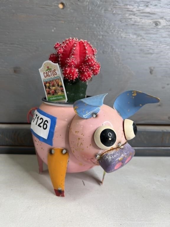 Pig with cactus planter