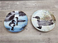 Loon Collector Plates