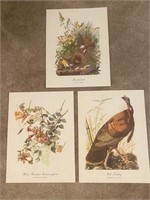 3 Audubon Prints