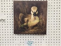 DUCKLING PRINT ON STRETCHED CANVAS