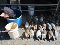 16 duck decoys, bucket of weights, tub