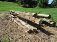 Approx 10-24' cedar logs