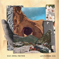 Walk Around The Moon (Vinyl) DAVE MATTHEWS BAND