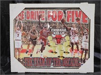 Starline Chicago Bulls The Drive For Five Picture