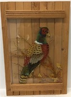 PHEASANT PAINTED ON GLASS MOUNTED ON WOOD