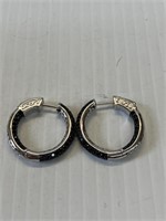Earrings Marked 925 SG