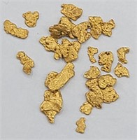 Placer Gold .3 Grams