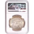Morgan Silver Dollar 1882 MS64 NGC Toning
