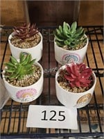 4pc small potted artificial succulents