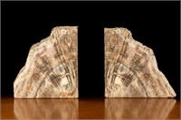 Pair of Large Cut Petrified Wood Bookends