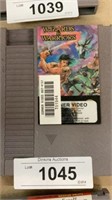 Wizard and Warriors 1980s Nintendo