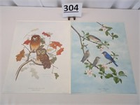 Thomas Allen Prints Owl & Blue Birds
