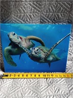 C9) sea turtle canvas wall picture
