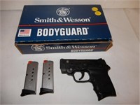 .380 Caliber Smith & Wesson Bodyguard Pistol