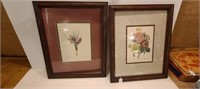2 Flower Pictures with frames