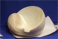 Shell Form Bowl?