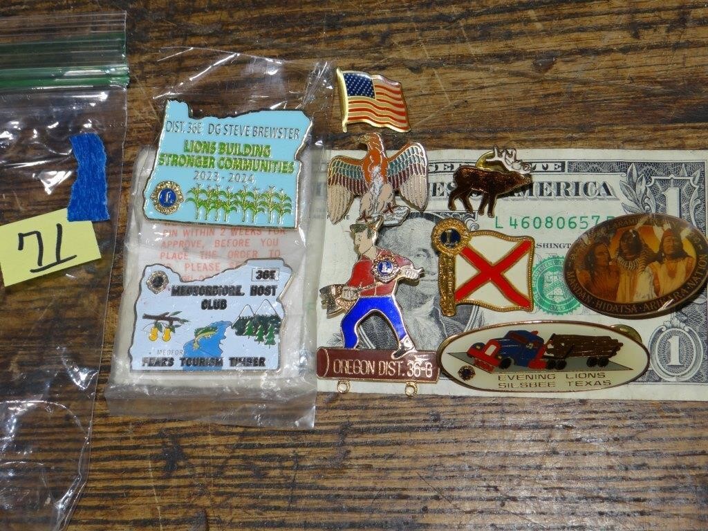 Lion Club Pins & 1 Indian Pin Back