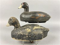 2 Herters Coot Duck Decoys, Waseca, MN, glass