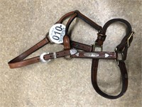 Tag #10 Yearling Show Halter w/sterling silver
