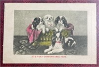 Postcards - Antique, Vintage, Many Have Stamps!