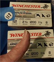 Winchester Shells 2pc Full