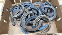 Assorted Horseshoes.   NO SHIPPING