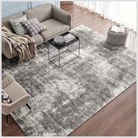 Eviva 8x10 Area Rug, Gray and White