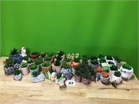 Large lot of fake plants lot of 49