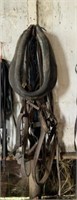 Older Leather Single Driving Harness & 22" Collar