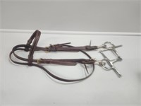 Bridle with bit