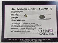.40 Ambanja Demantold Garnet (N)
