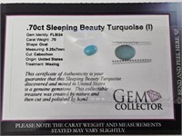 .70ct Sleeping Beautry Turquoise (I)