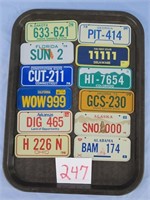 12 State Mini Tin License Plates