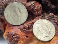 Two 1925  Peace Silver Dollars