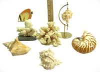 Seashell Decor