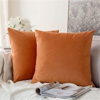 MIULEE Fall Pack of 2 Velvet Soft Solid Decorative