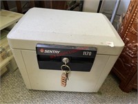 Sentry 1170 Cube Safe with Key (Living room by