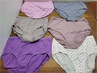 NEW Hanes 6 Ladies Brief's Size L