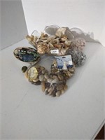 Great collection of seashells and coral, bags of