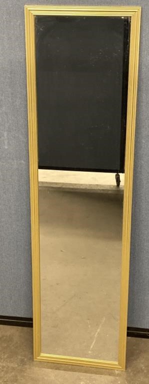 Gold Framed Mirror 13.5"x49”