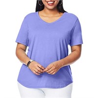 Size 5X Hanes Womens Plus-SizeShort Sleeve V-neck