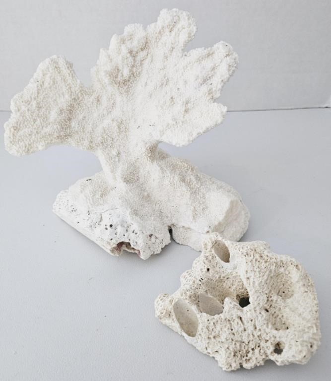 2 Pieces of Natural White Coral