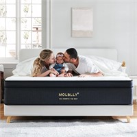 Molblly King 14 Hybrid Mattress