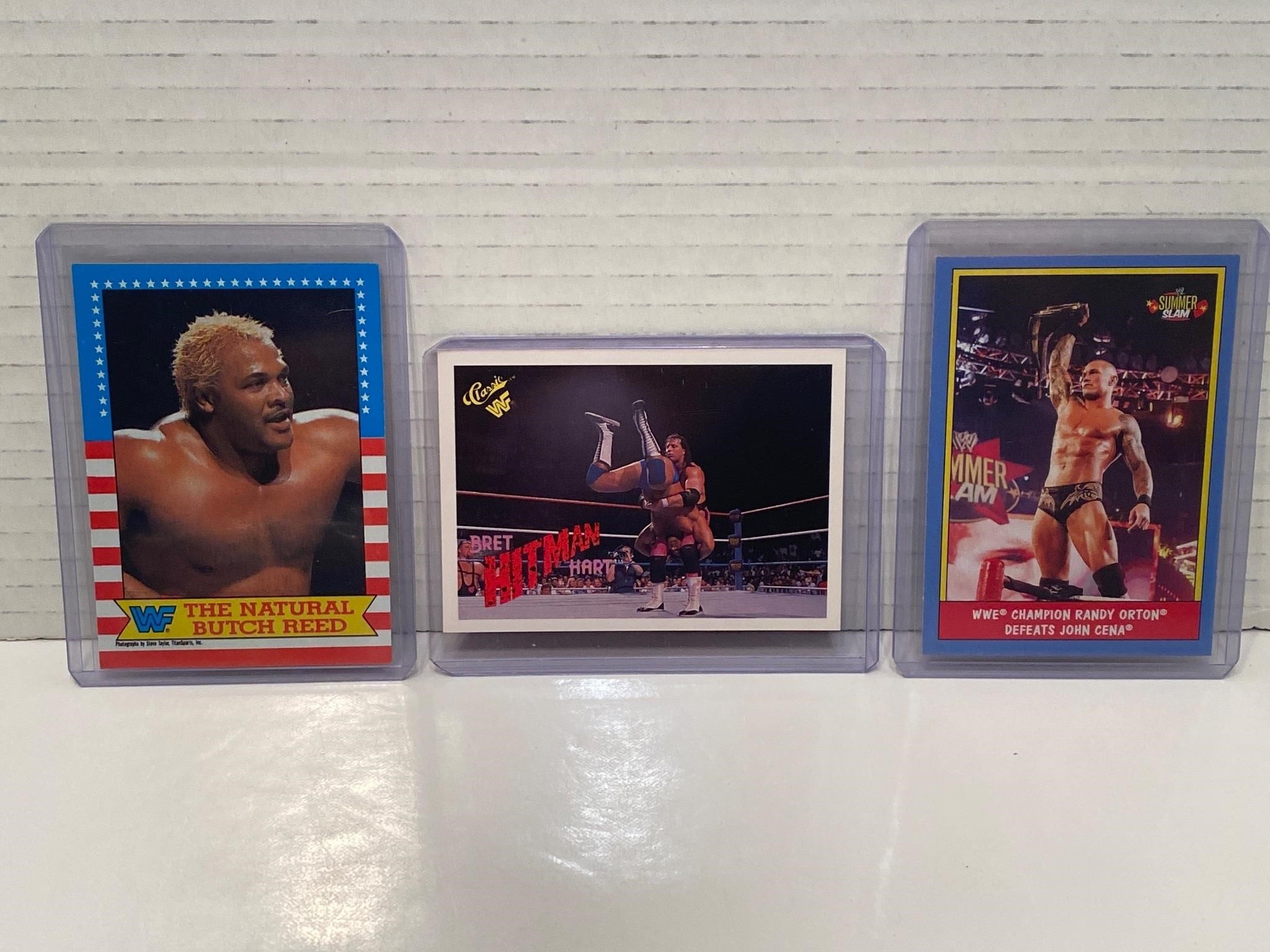 WWF/WWE Card Lot