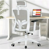 Ergonomic Desk Chair with Height Adjustable Lumbar